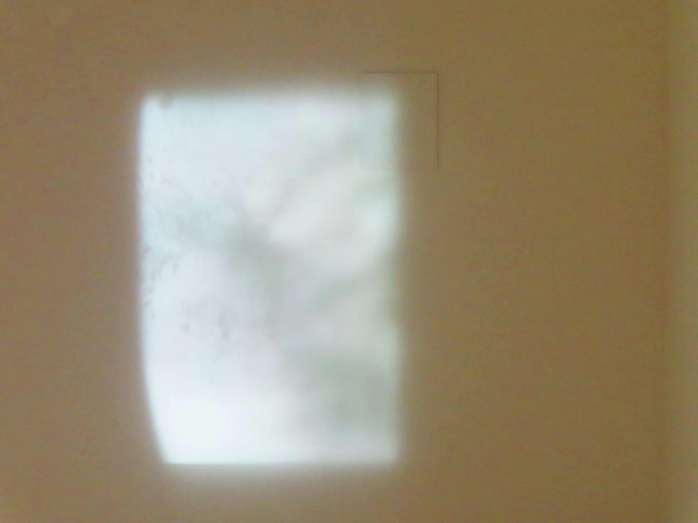 Image of a textured white square projected onto a pale wall in a gallery space.