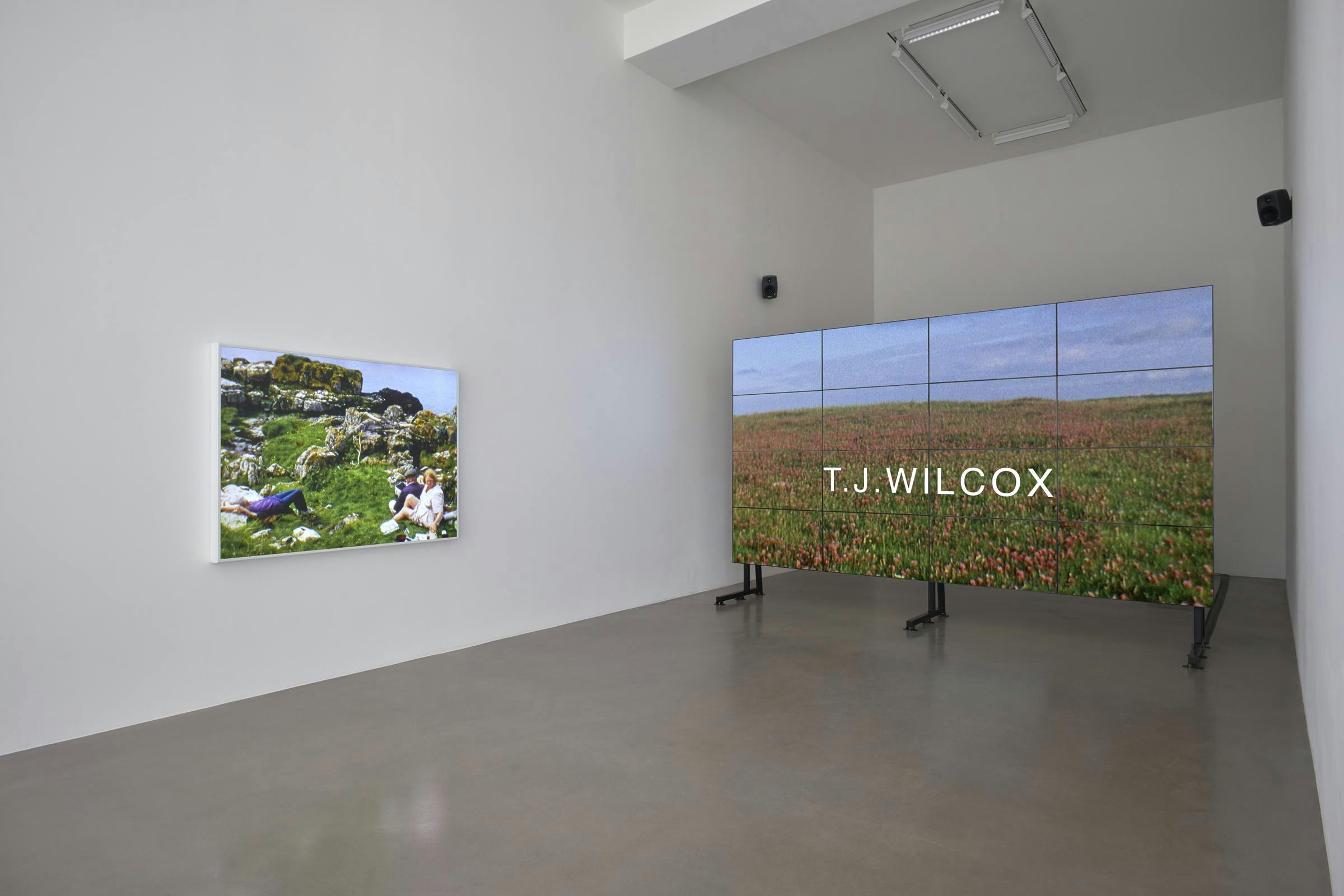 A large screen in a white gallery space with a work hung on the wall.