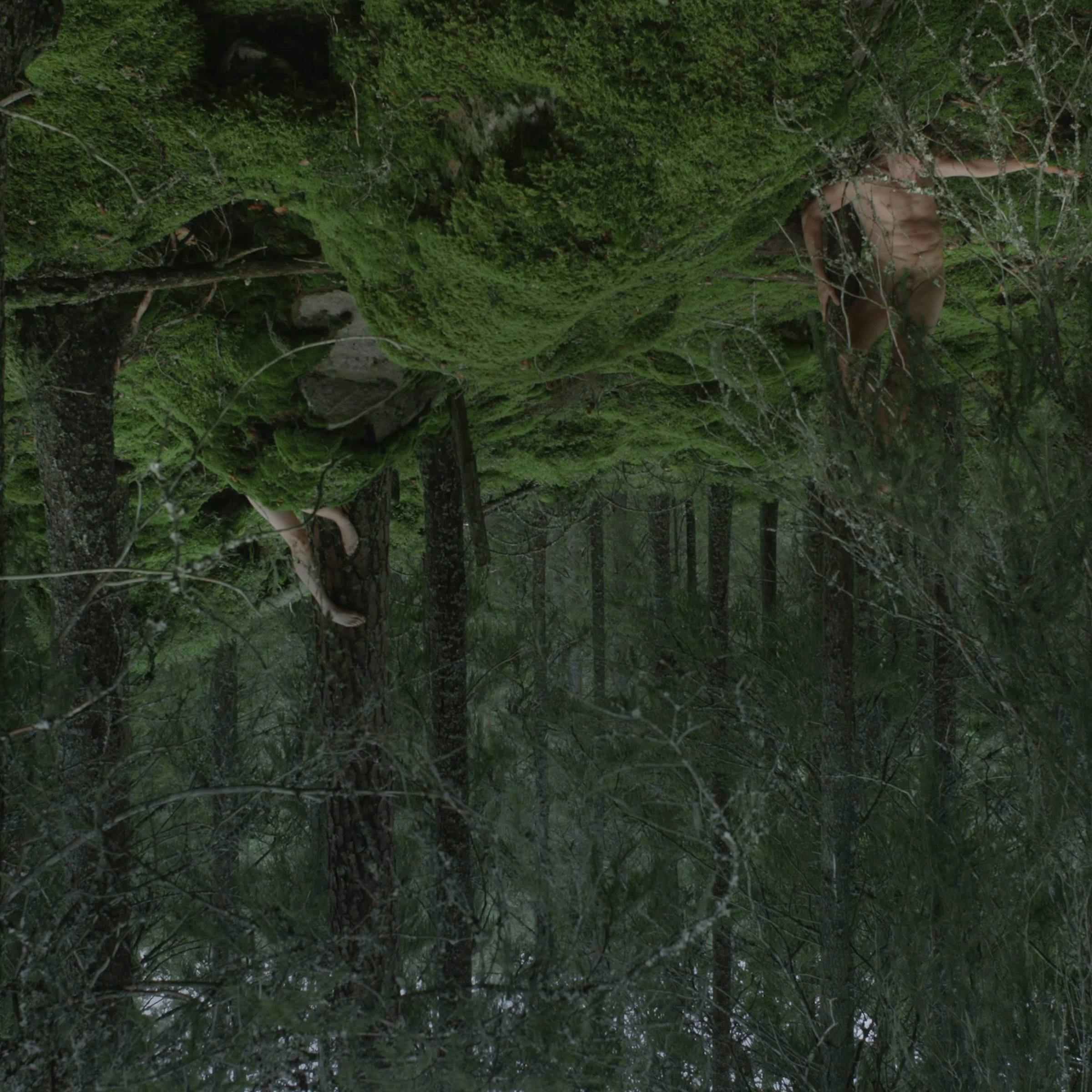an upside down image of a lush forest. We can see one naked person in the distance