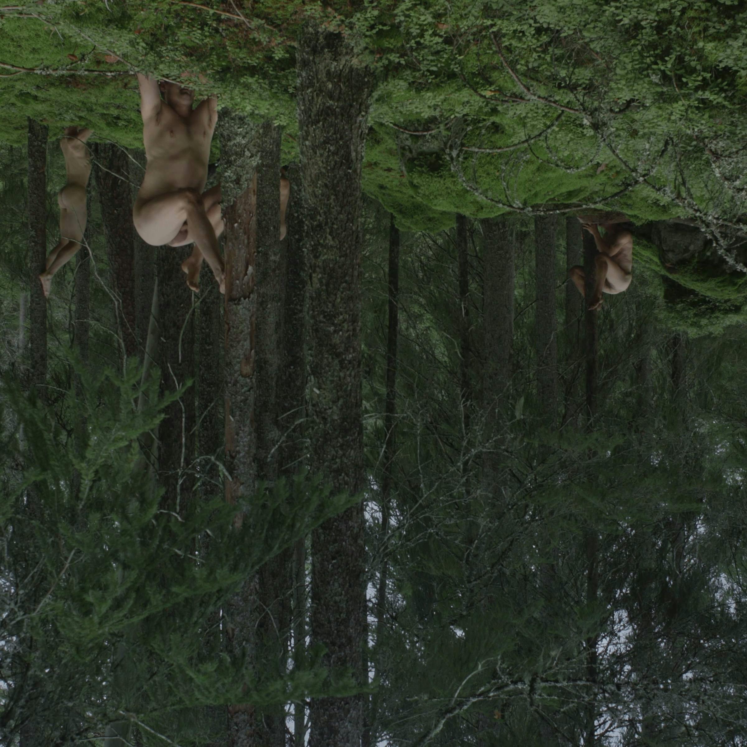 an upside down image of a lush forest. We can see four naked person in the distance
