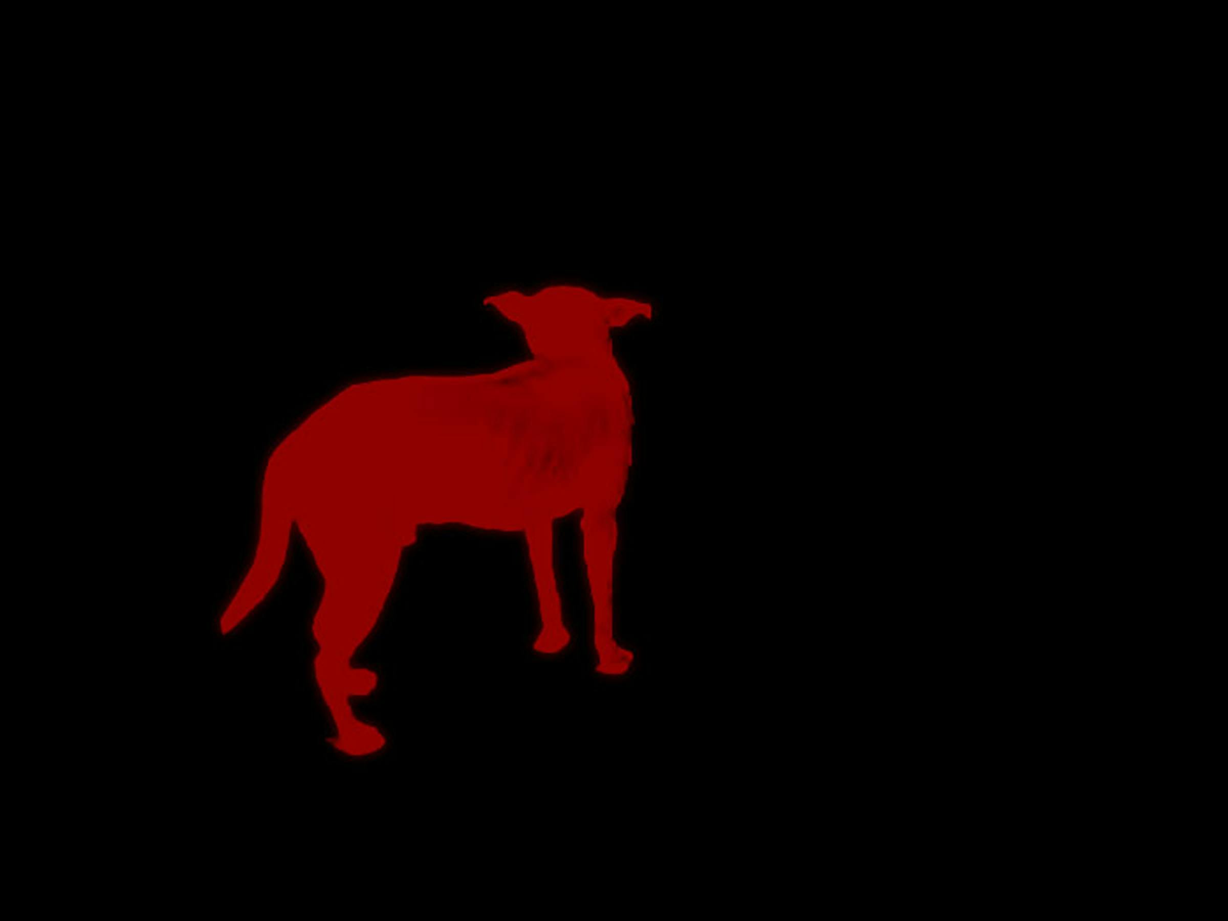 a side view of a red dog on a black background