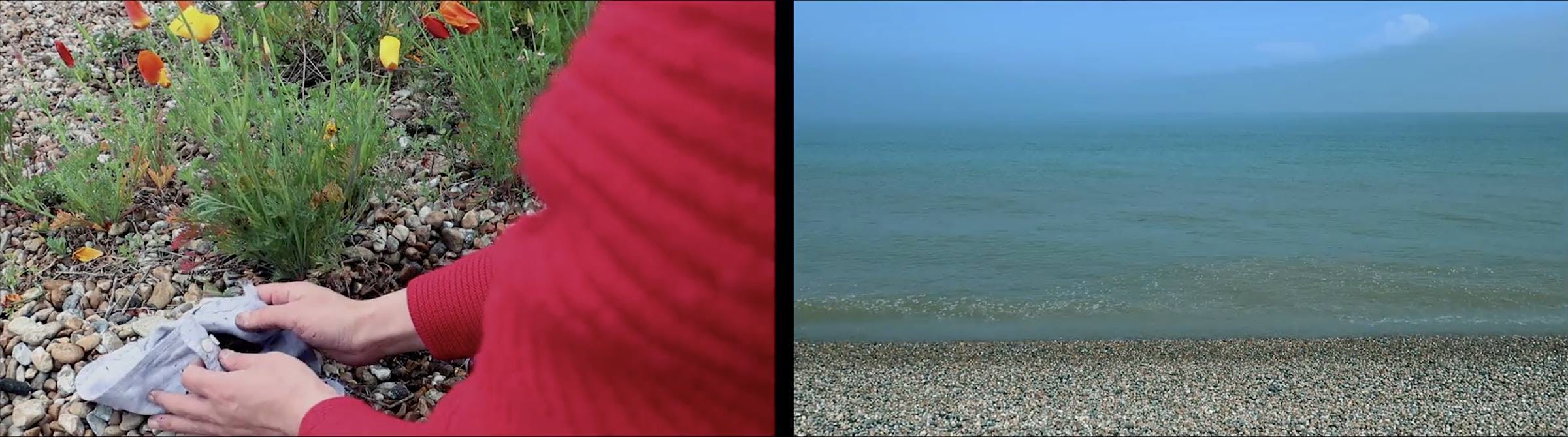 A split screen image. The right hand side is an image of a pebble shore line and the left is a person whose hands are wrapping earth into a piece of fabric. There are yellow and red flowers visible and the ground is littered with small stones. The person is wearing a red jumper.