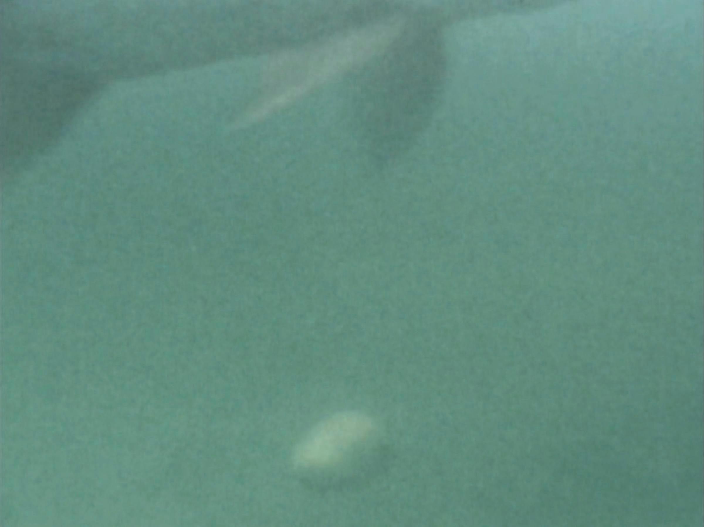 Underwater image with a white circular object at the bottom and fins at the top
