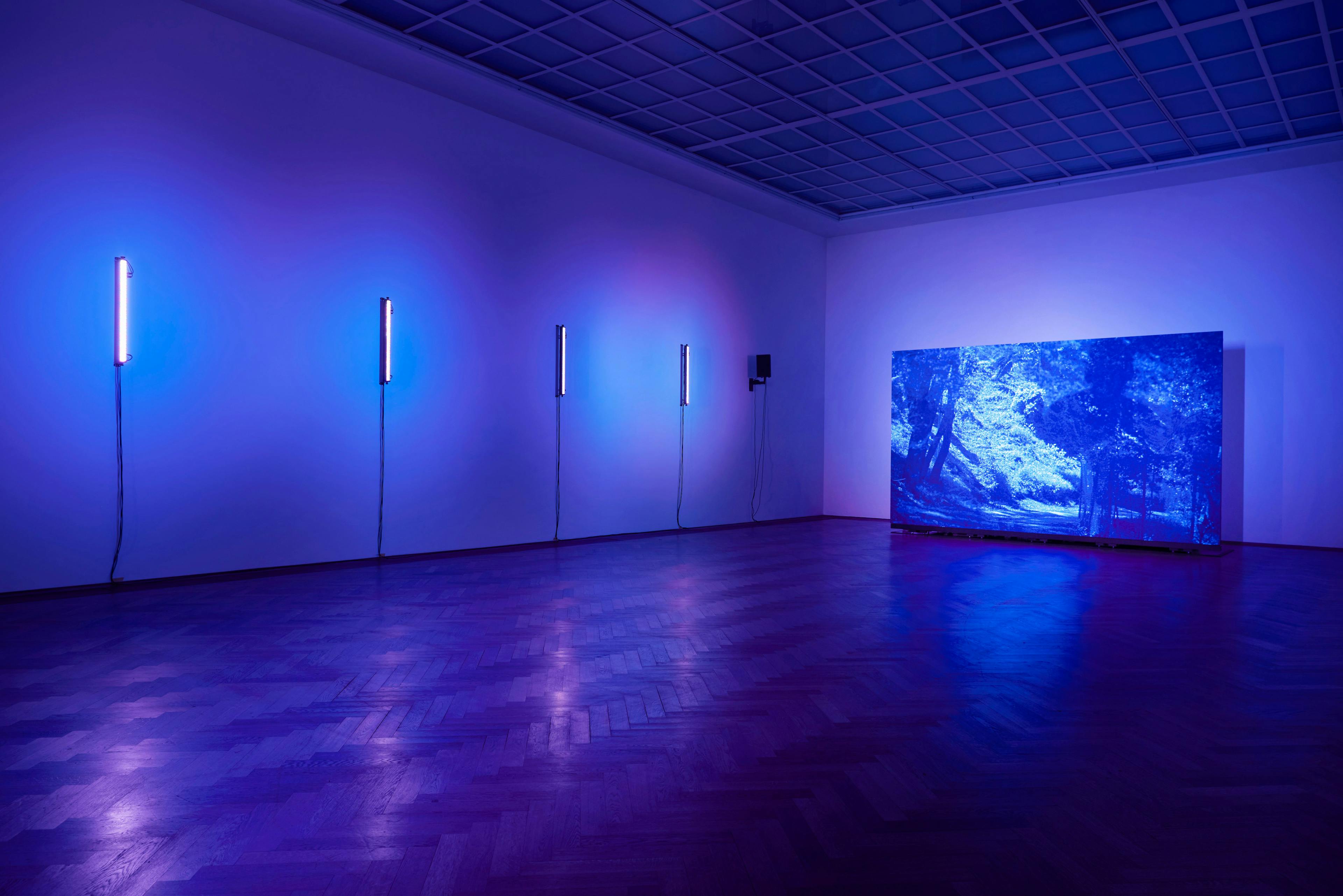 Blue lit gallery space with four blue neon lights fixed to one wall, a large blue-glowing canvas fixed to the other.