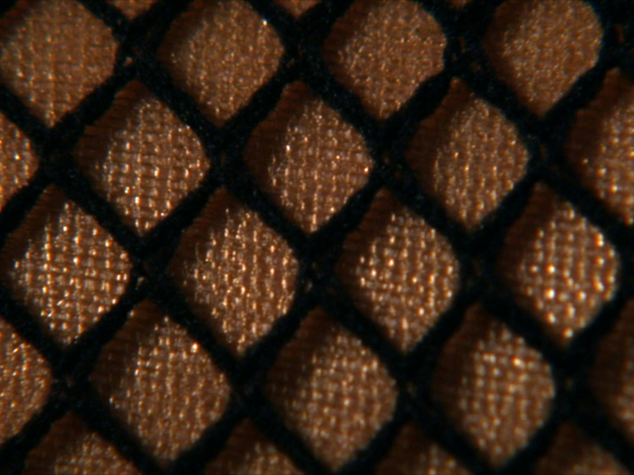 an image of a close up of fish net material on top of brown-gold shiny fabric