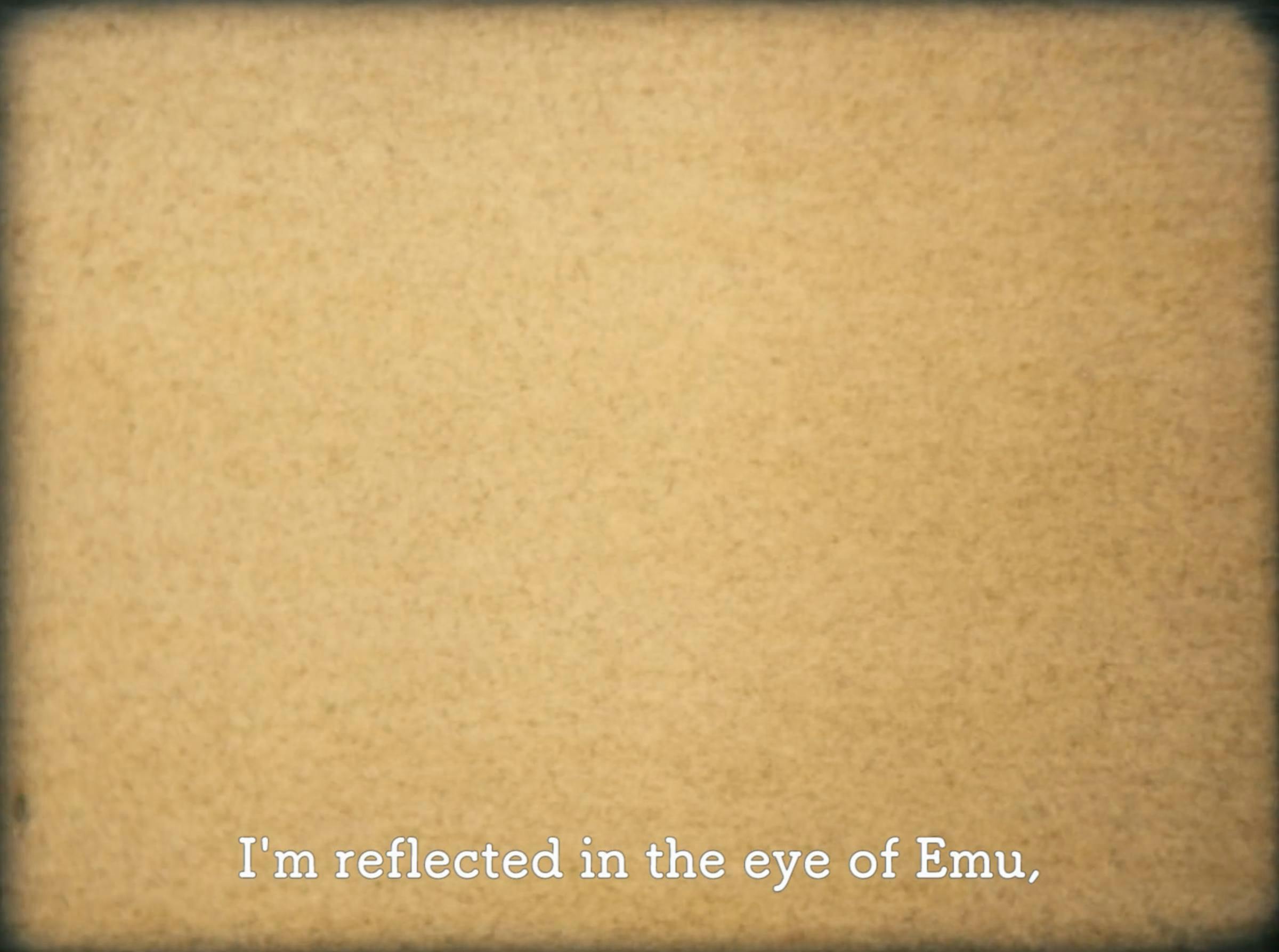 an image of an abstract object that is beige, we cannot discern what it is. A subtitle reads 'Im reflected in the eye of emu,'