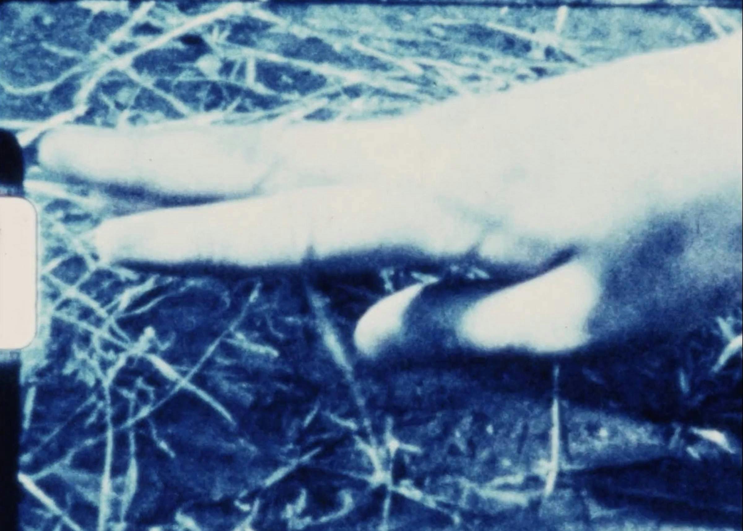 Distorted image of a piece of film with the image of a hand on some grass in a blue color