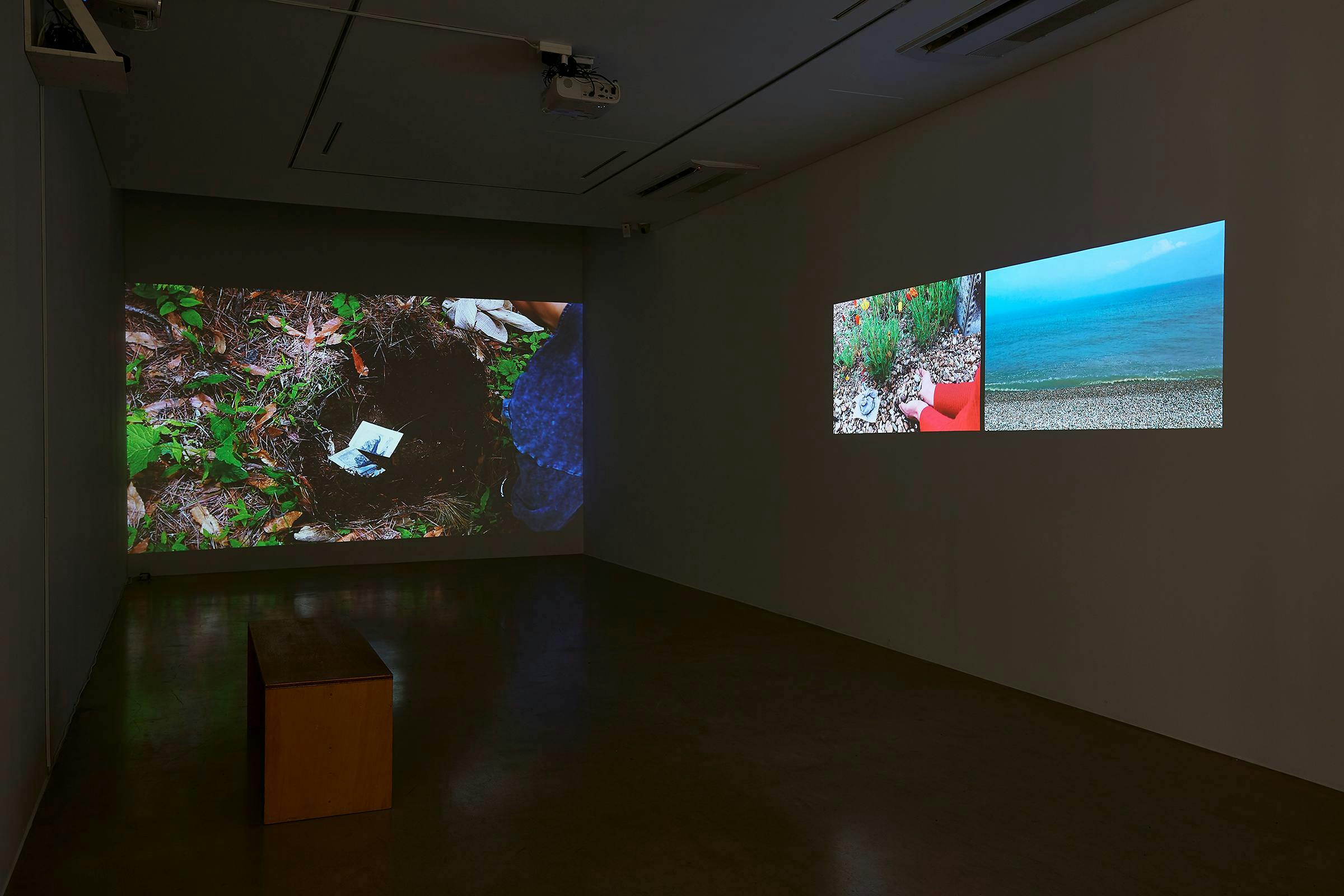 an installation view of the work Garden installed in a darkened space. 2 projections are visible as is a wooden bench