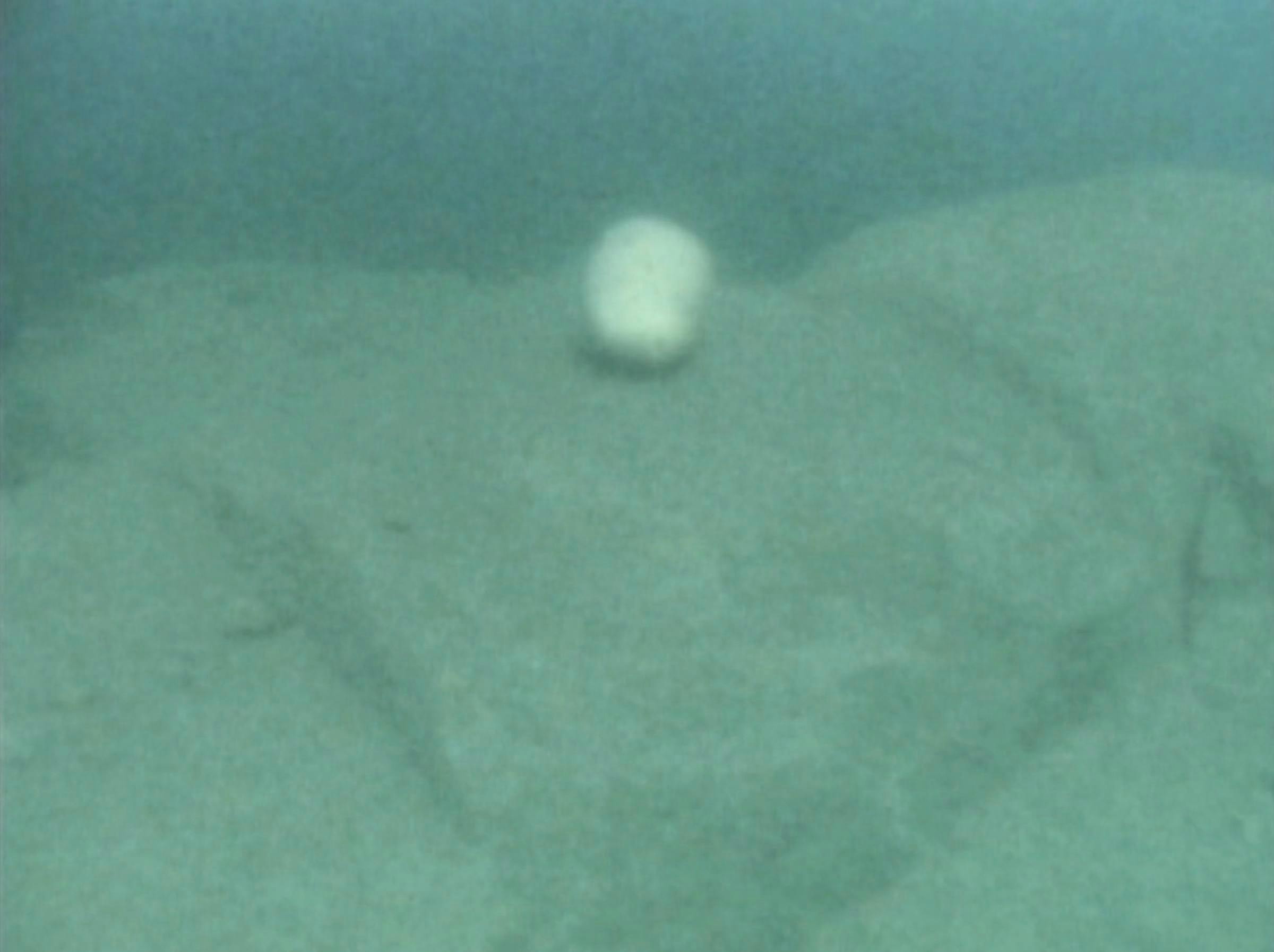 An image of a seabed with a white circular shape in the centre