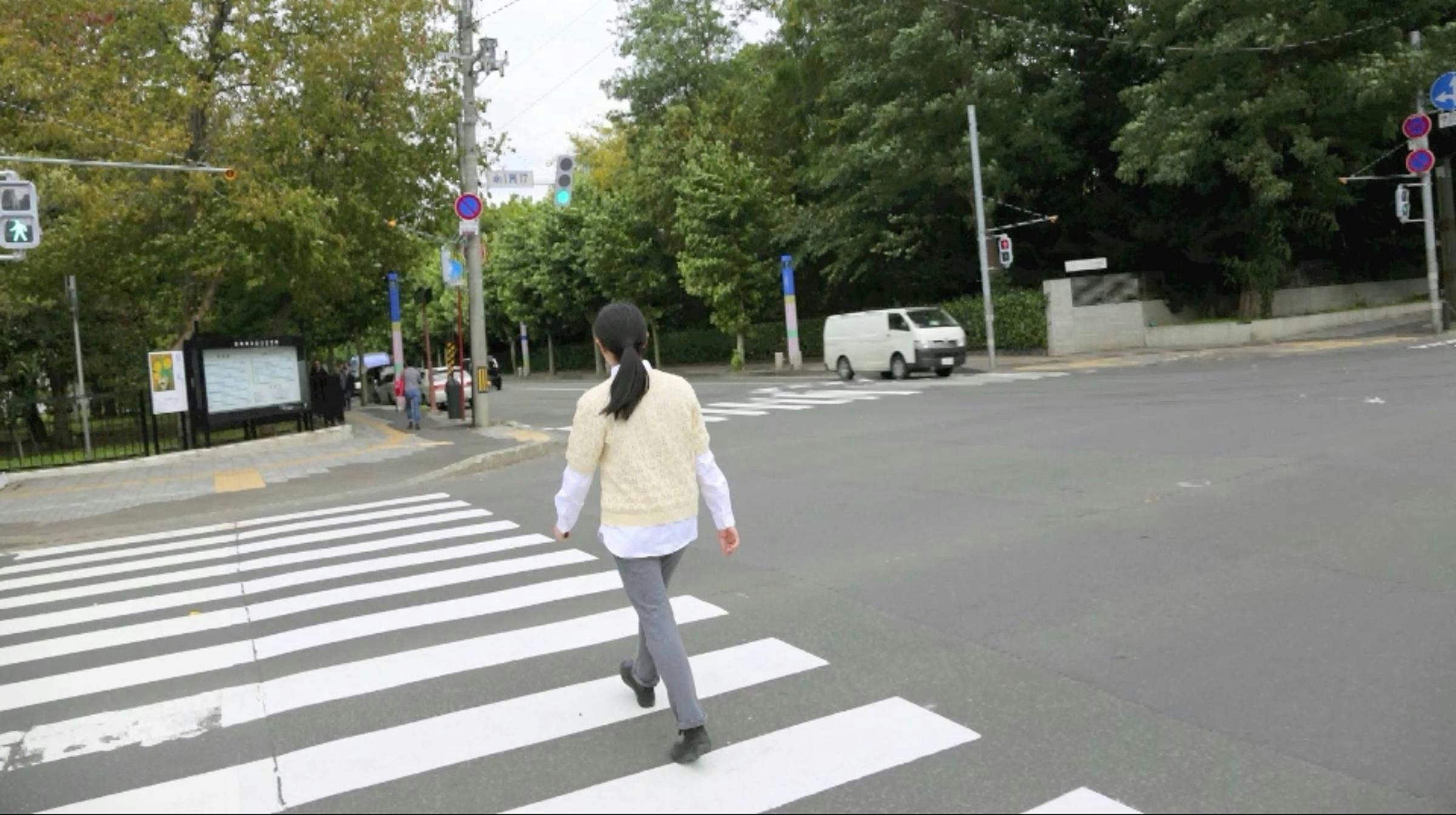 A person crosses a zebra crossing with their back to the camera. The street is emty and it is lined with trees.