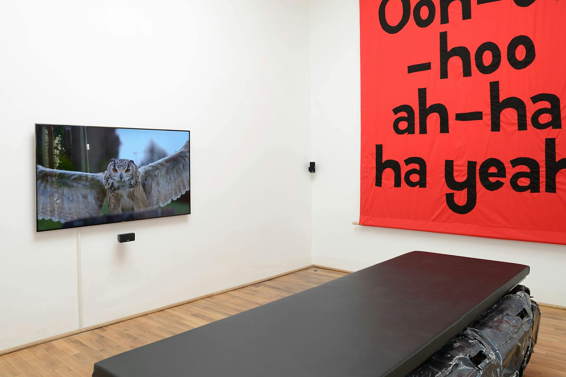 an installation image of 'English Magic' being screened on a flat screen at the Venice Biennale