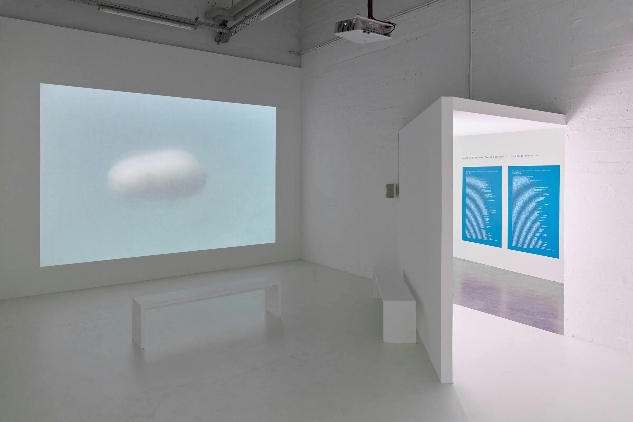 A large projection in a white gallery space with a bench in front.