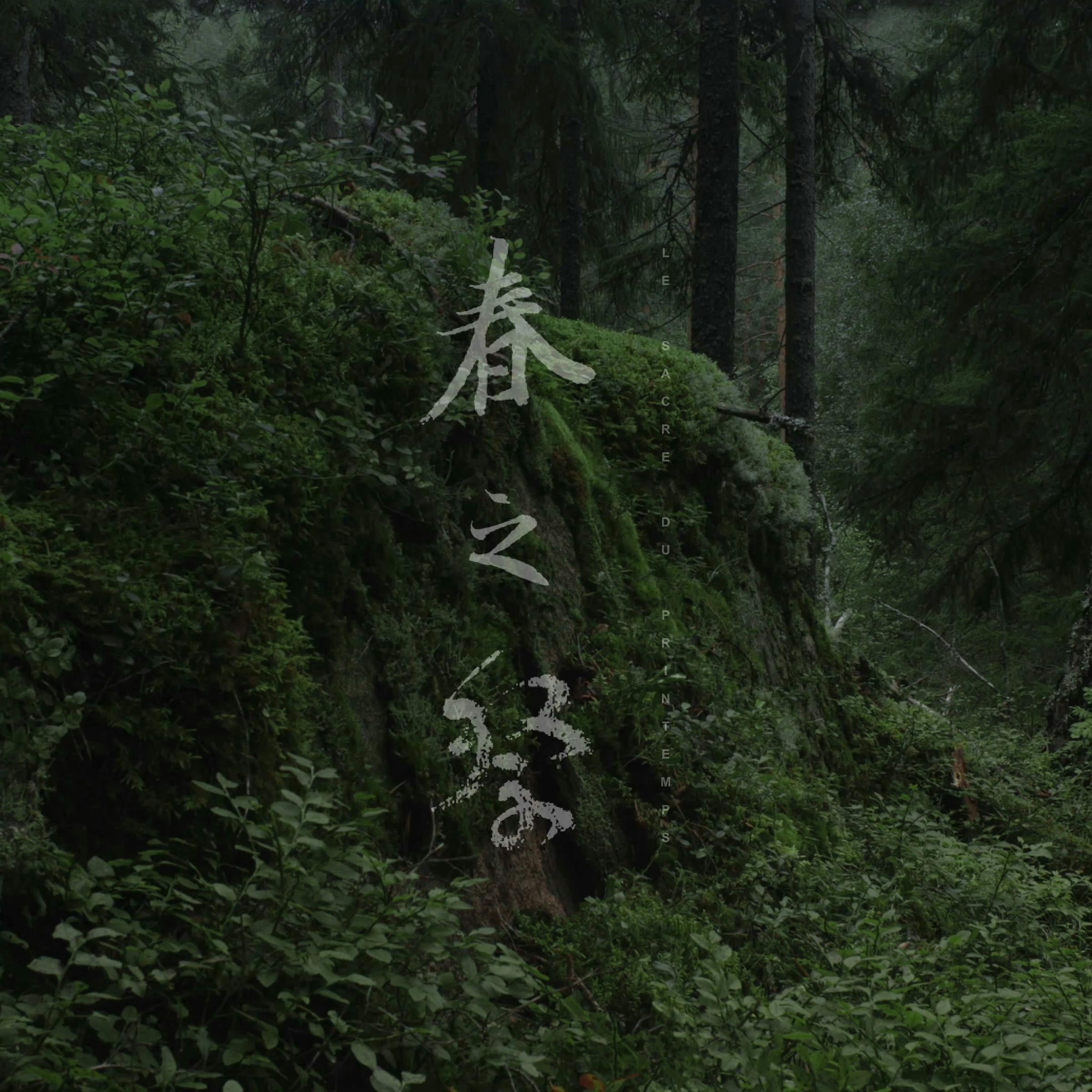 an image of a lush forest with Chinese text (language) floating on top. 