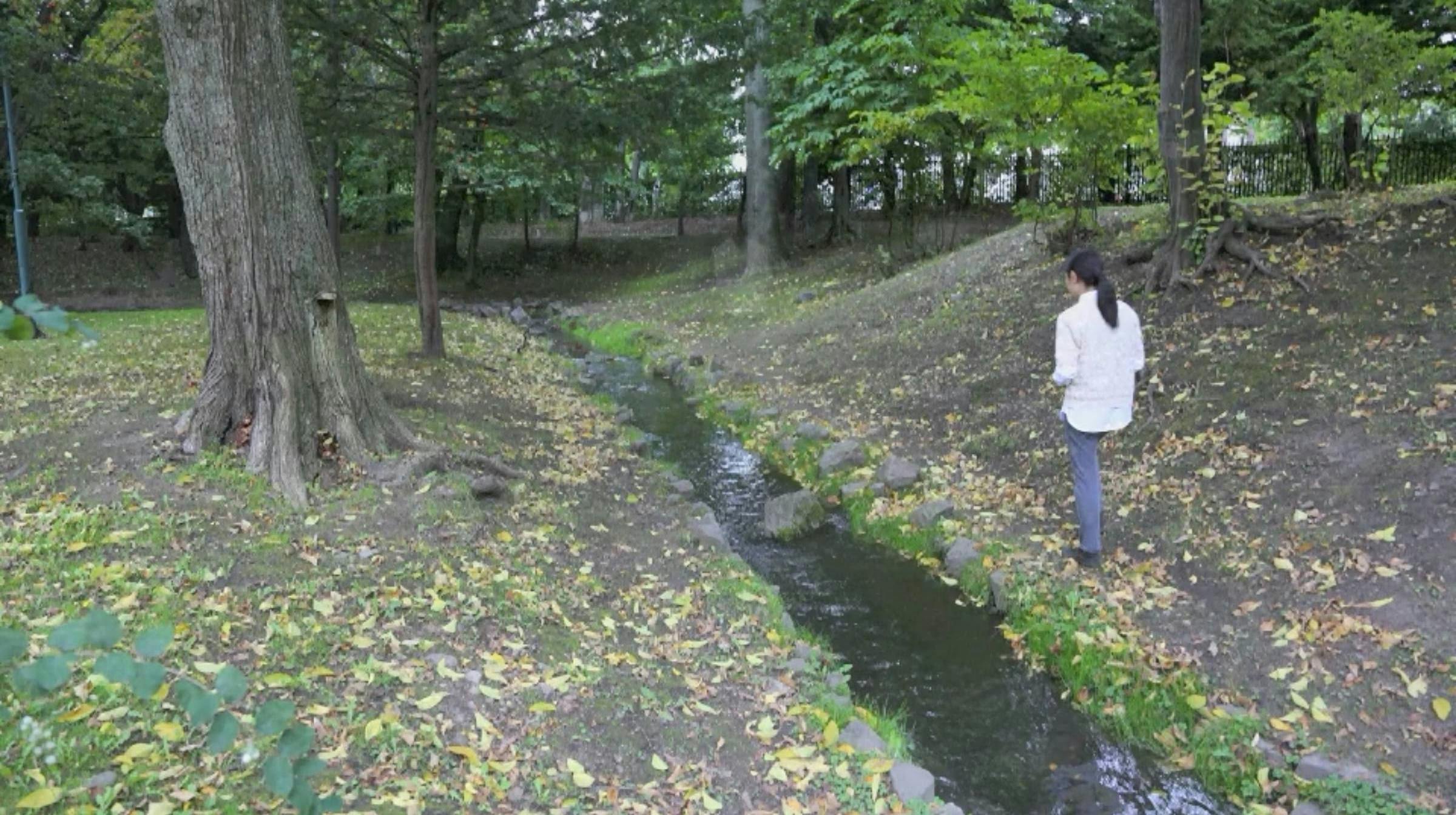 A person walks along a small stream in a forest with their back to the camera. They are wearing a white shirt.