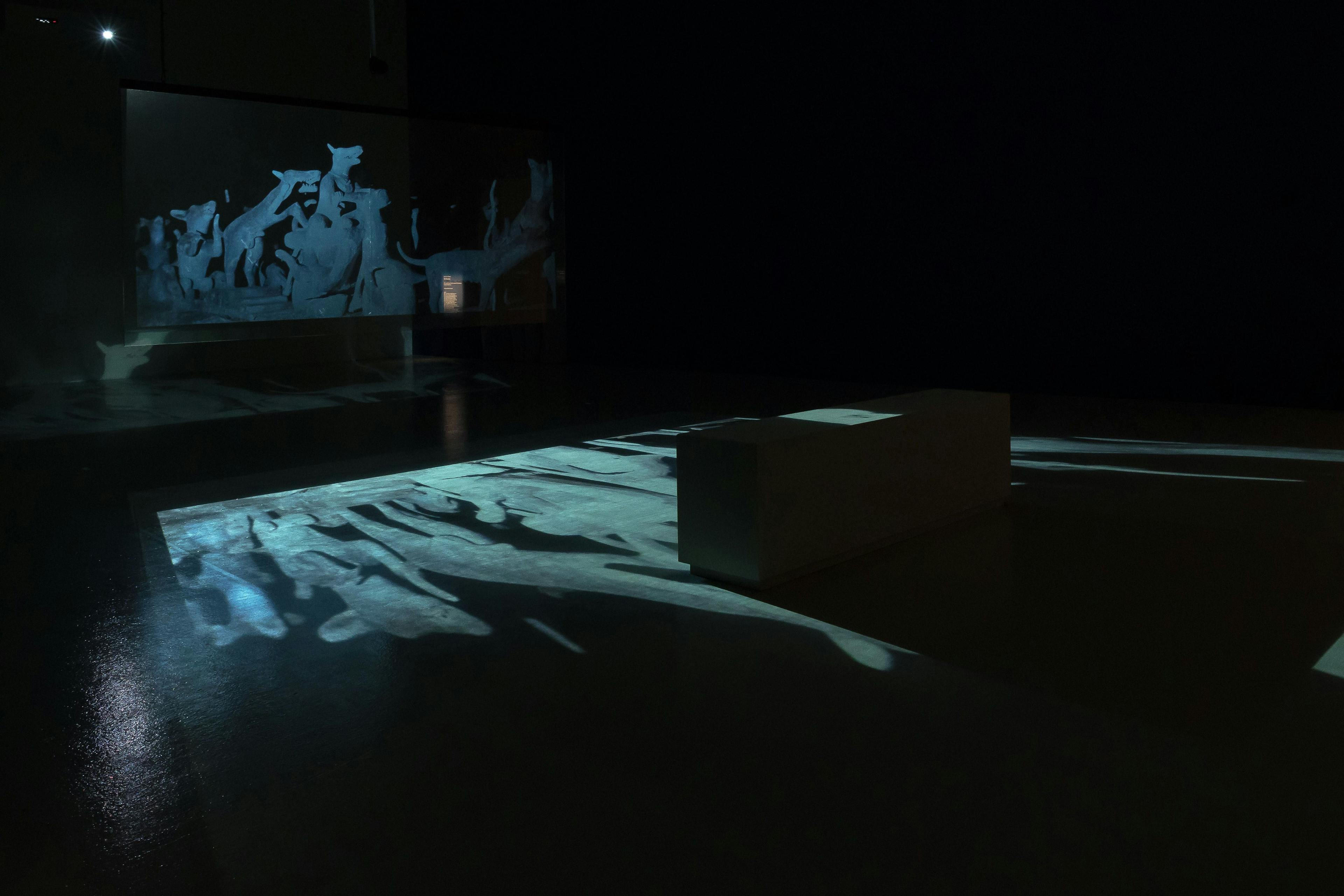 an installation image of Fireworks (Archives) projected in a darkened space
