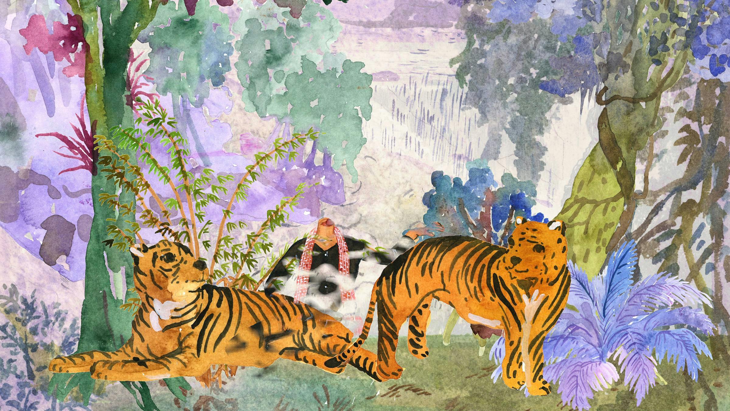 Image with watercolor quality of two tigers looking at one another with a human body without head sitting up in between them. They are in a leafy environment.