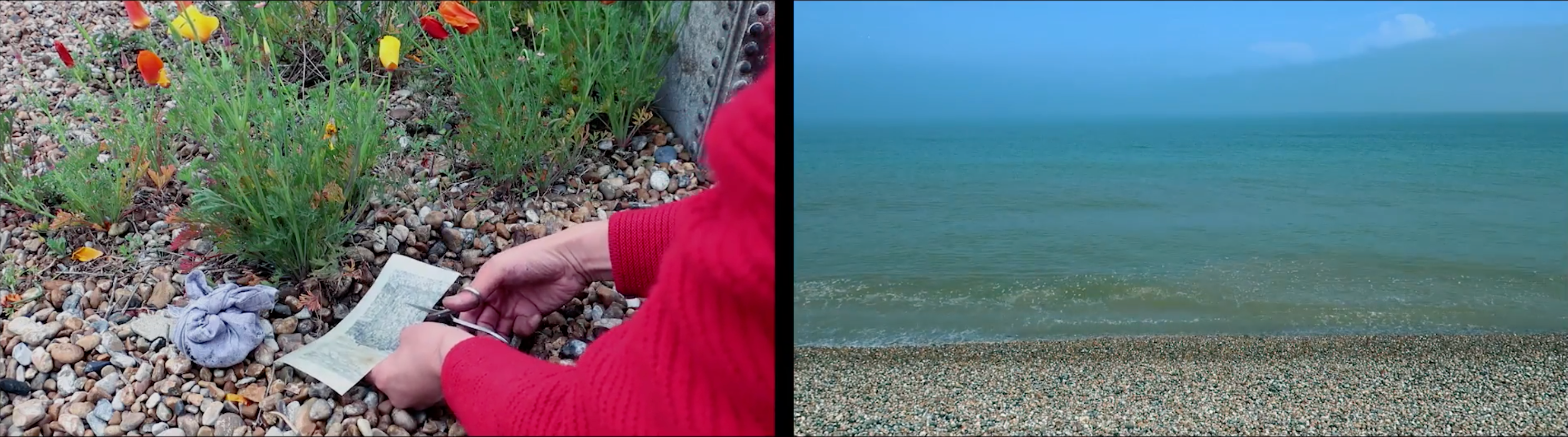 A split screen image. The right hand side is an image of a pebble shore line and the left is a person whose hands are cutting some form of material. There are yellow and red flowers visible and the ground is littered with small stones. The person is wearing a red jumper.