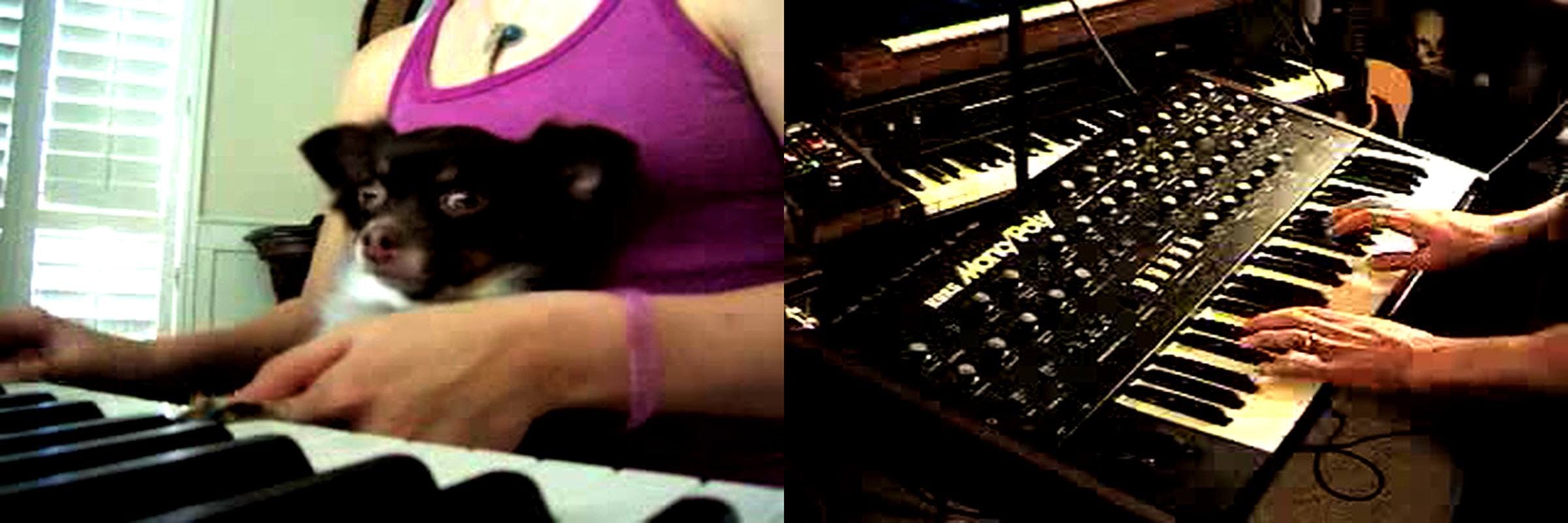 Image split into two halves. On the left, a person sits at a piano with a dog on their lap. On the right, we see a piano from above with two hands playing it