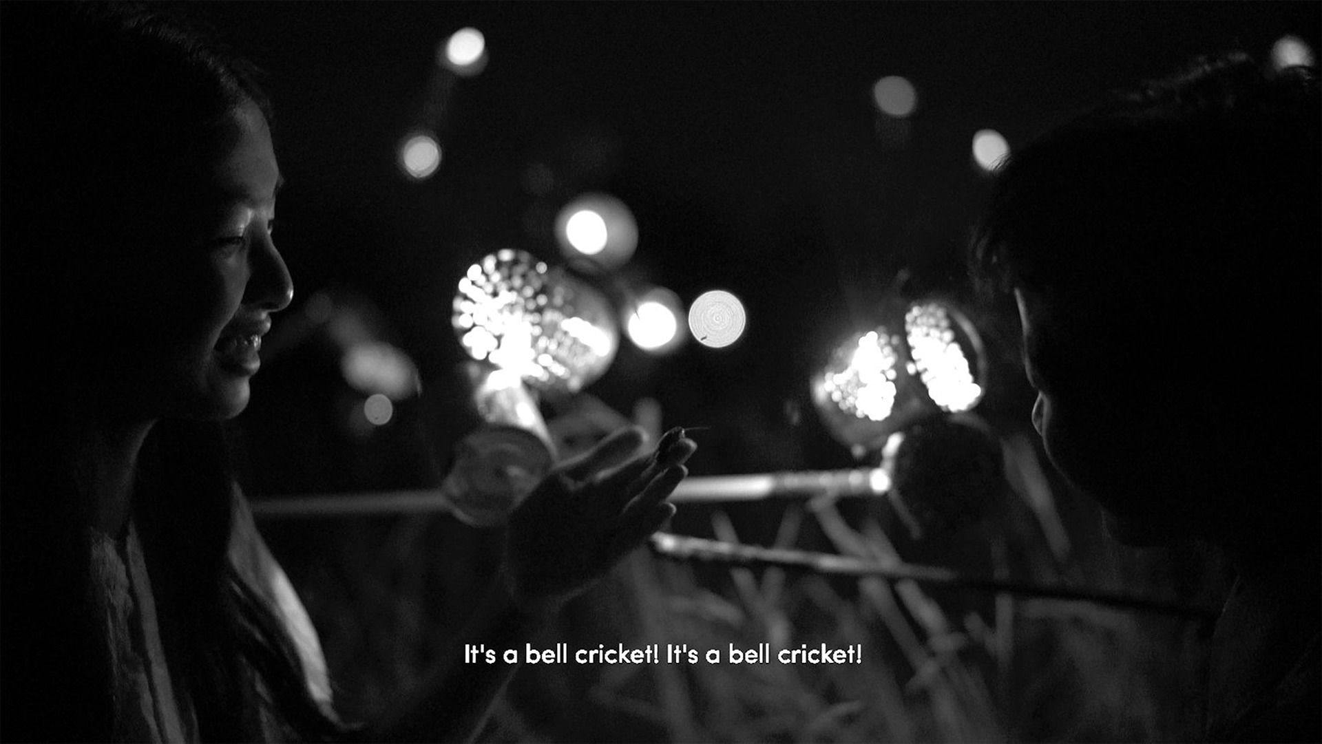 a black and white image of a woman holding her hands out. A subtitle reads 'its a bell cricket! its a bell cricket!'