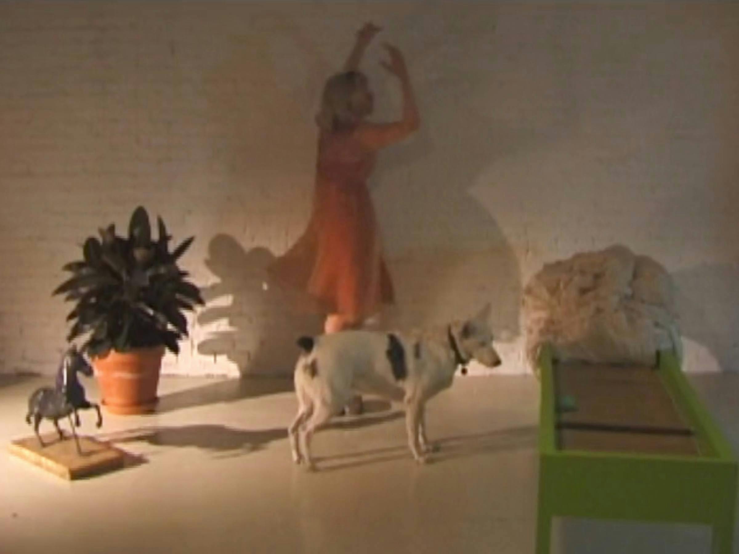 the artist is dancing in a white room. She is wearing an orange dress. There is a dog in front of her, a plant behind her and a green bed to her right. We can also see a statue of a horse in the foreground