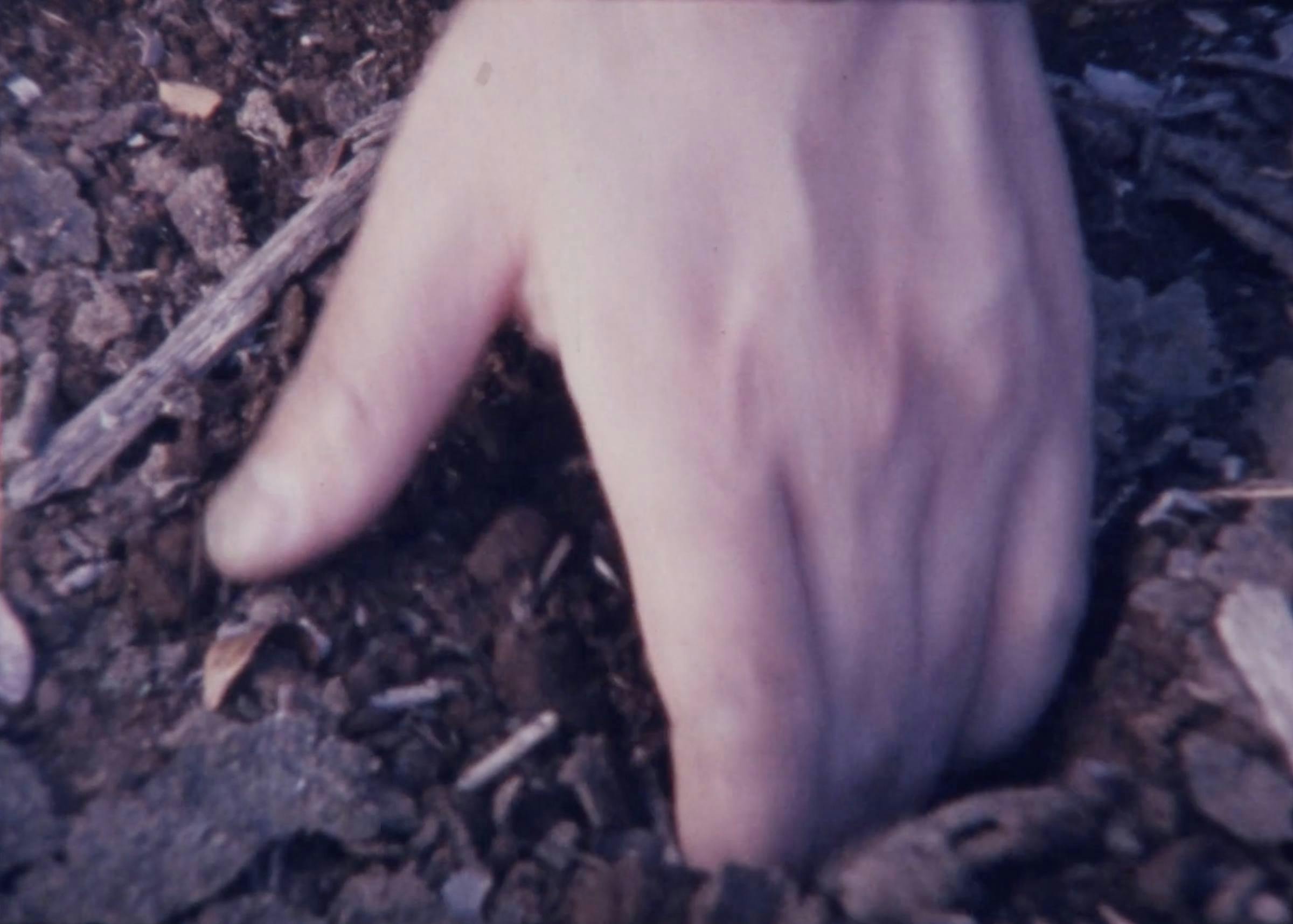 Image of a hand close up, fingers digging into the ground. The ground is covered with bark and twigs