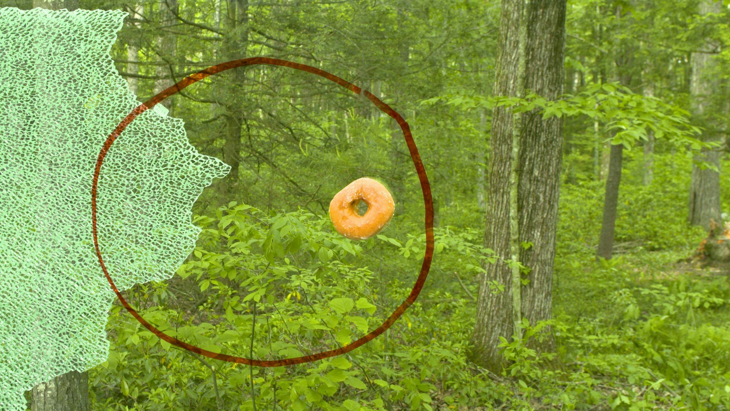 A red circle has been drawn on the camera lens and it has a doughnut inside it. The left hand side of the lens has been shattered. The camera is filming a scene in a forest.