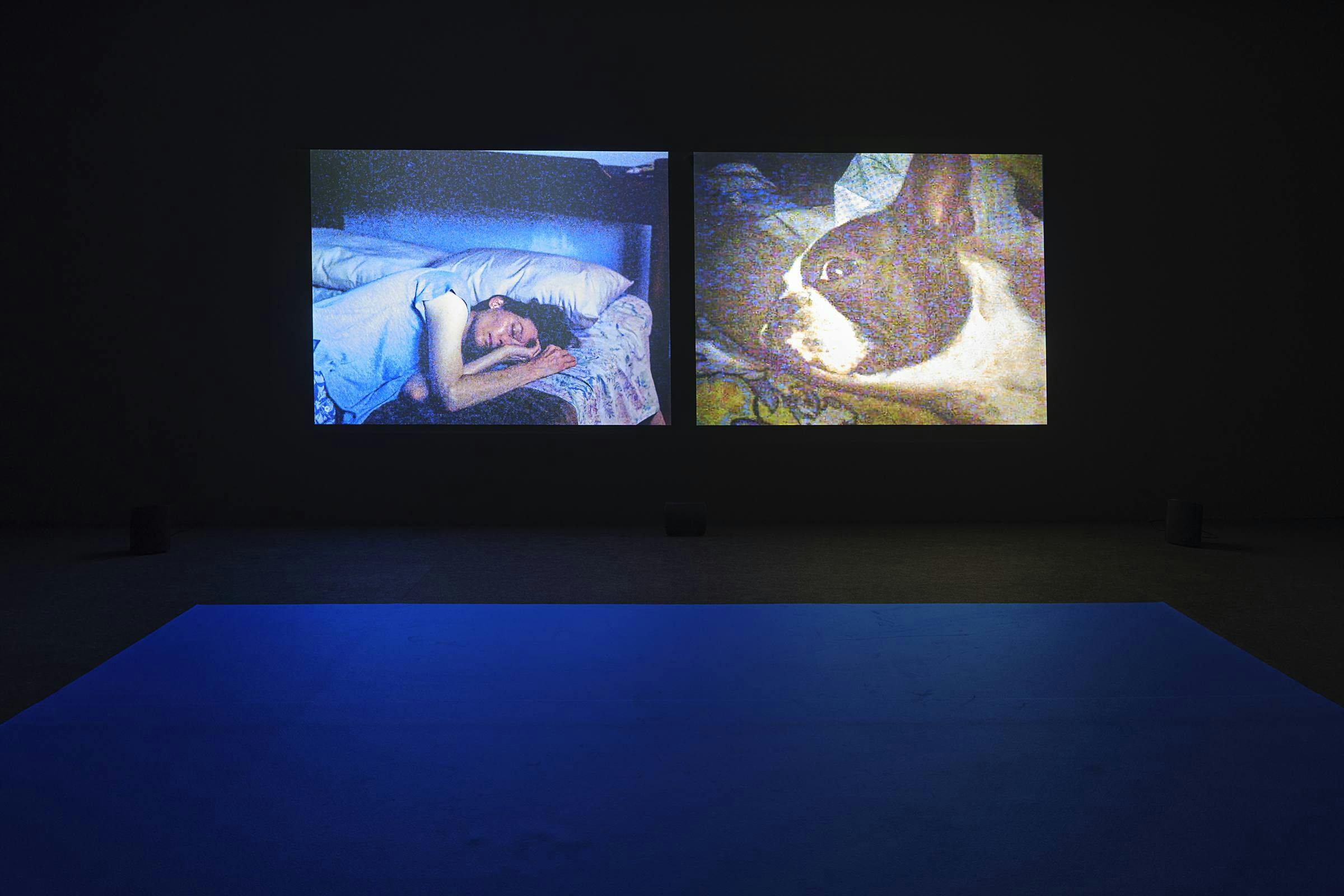 an image of the work Durmiente & async projected in a darkened space. The carpet is blue.