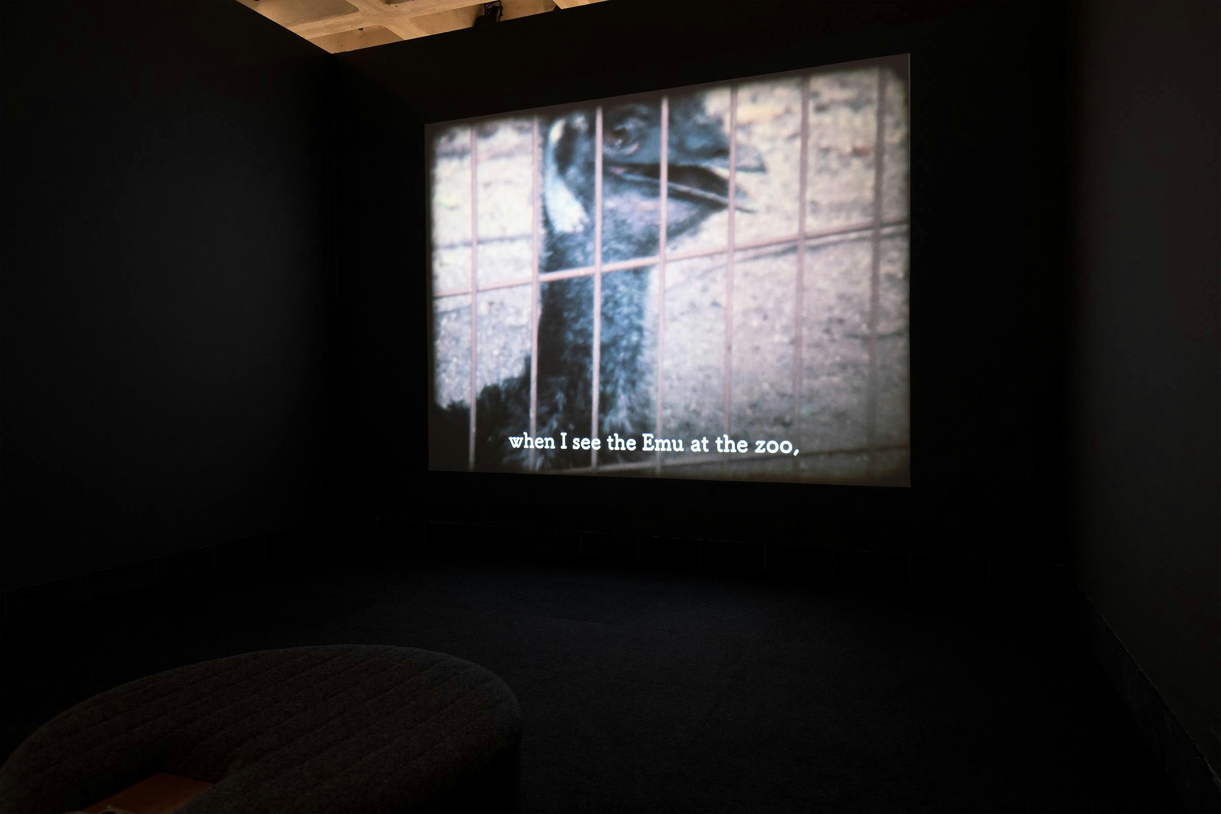 a video artwork projected in a gallery dark space. The projected image is of an emu behind a metal fence and a subtitle reads 'when I see the emu at the zoo,'